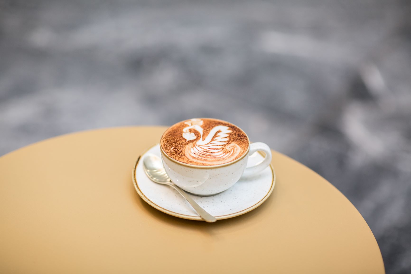 The Bench App Shots_Grace Petrou-Resizedjpg